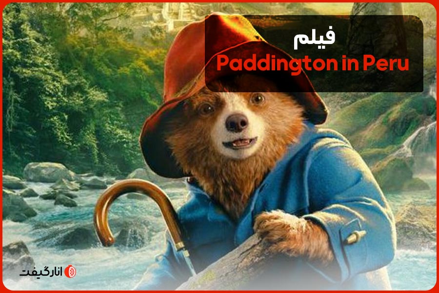 Paddington in Peru